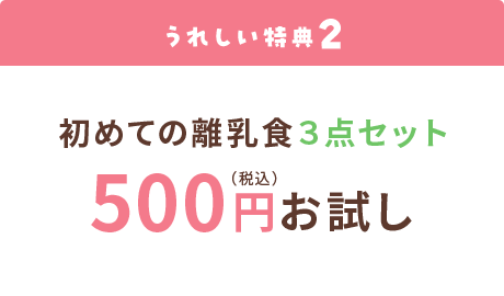 初めての離乳食3点セット500円お試し