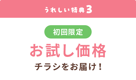 初回限定　お試し価格チラシをお届け