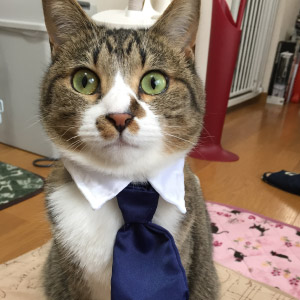 ベル ちゃん