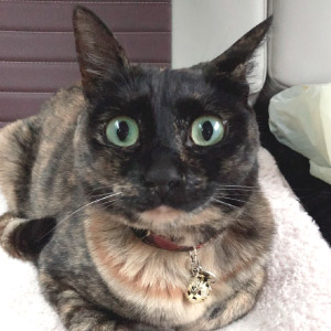 ロイ ちゃん