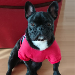 こたろう ちゃん