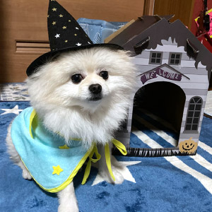 こてつ ちゃん