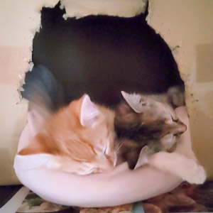 つくし & りき ちゃん