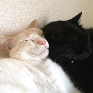 源 & 百助 ちゃん
