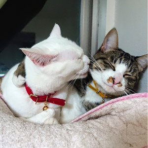 こゆき & こはる ちゃん