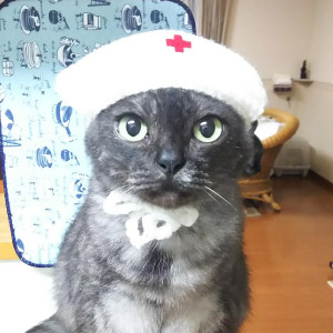 くーポン ちゃん